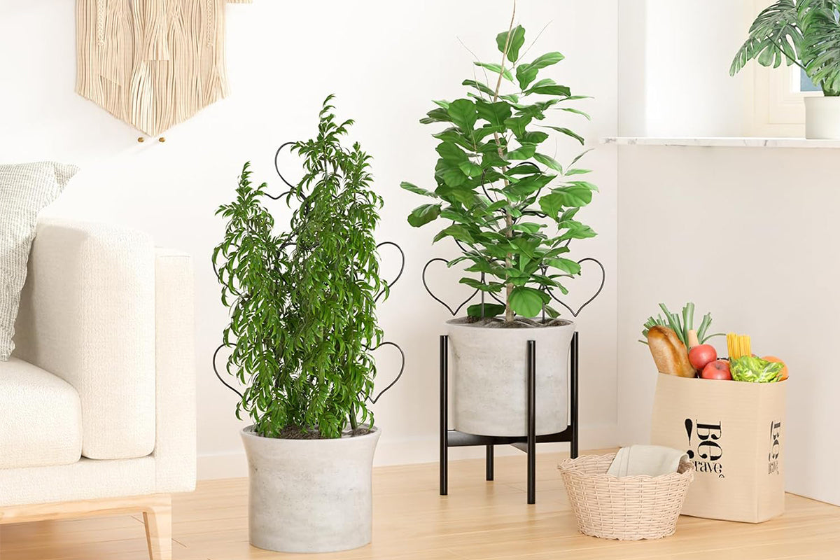 3 Pack Plant Trellis for Climbing Plants Black Heart Metal Stackable Garden Trellis for Vine Ivy Flower Potted Plants