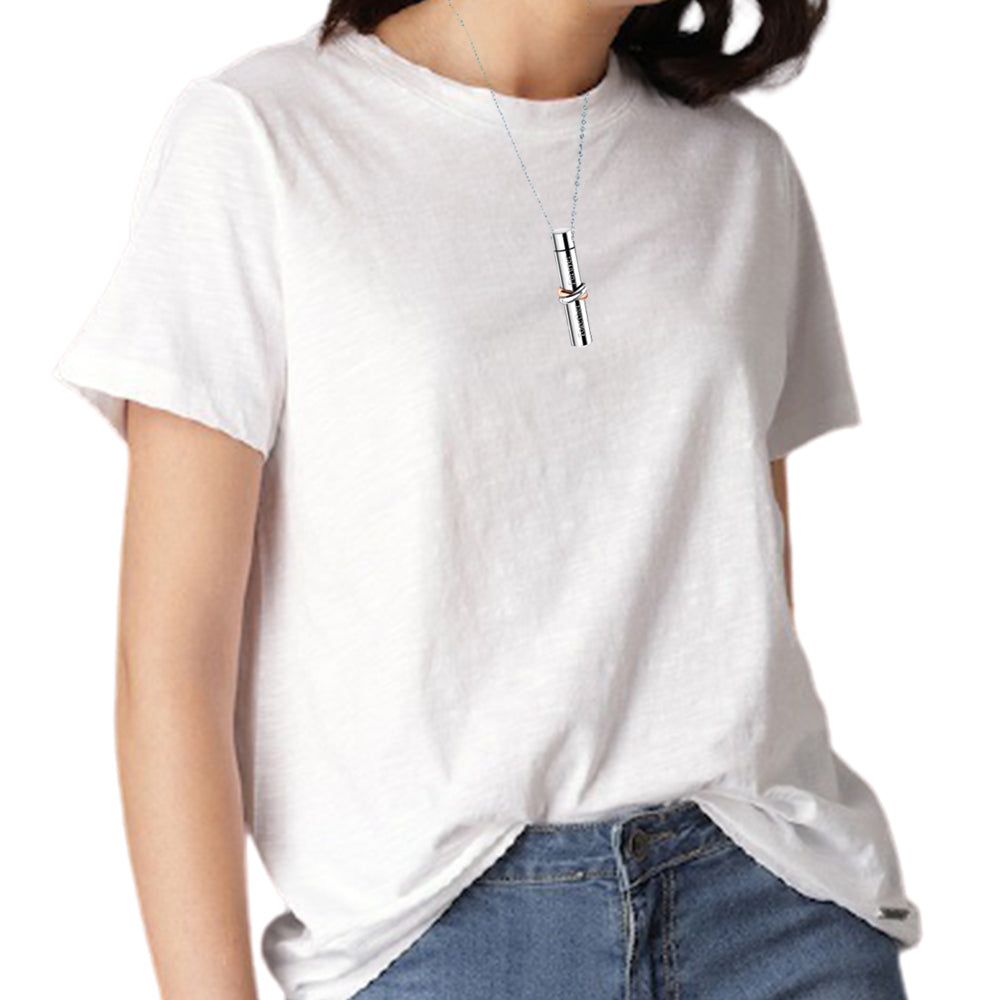 2 Pcs Pet Urn Necklaces Pendant Titanium Steel Jewelry