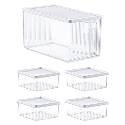 Set of 5 Pcs Food Storage Container Refrigerator Storage Box with Lid and Handle