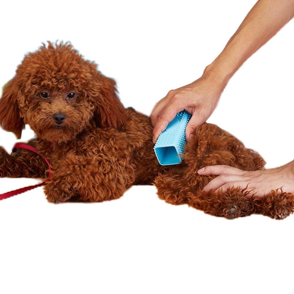 Pet Cat Dog Hair Removal Brush Blue