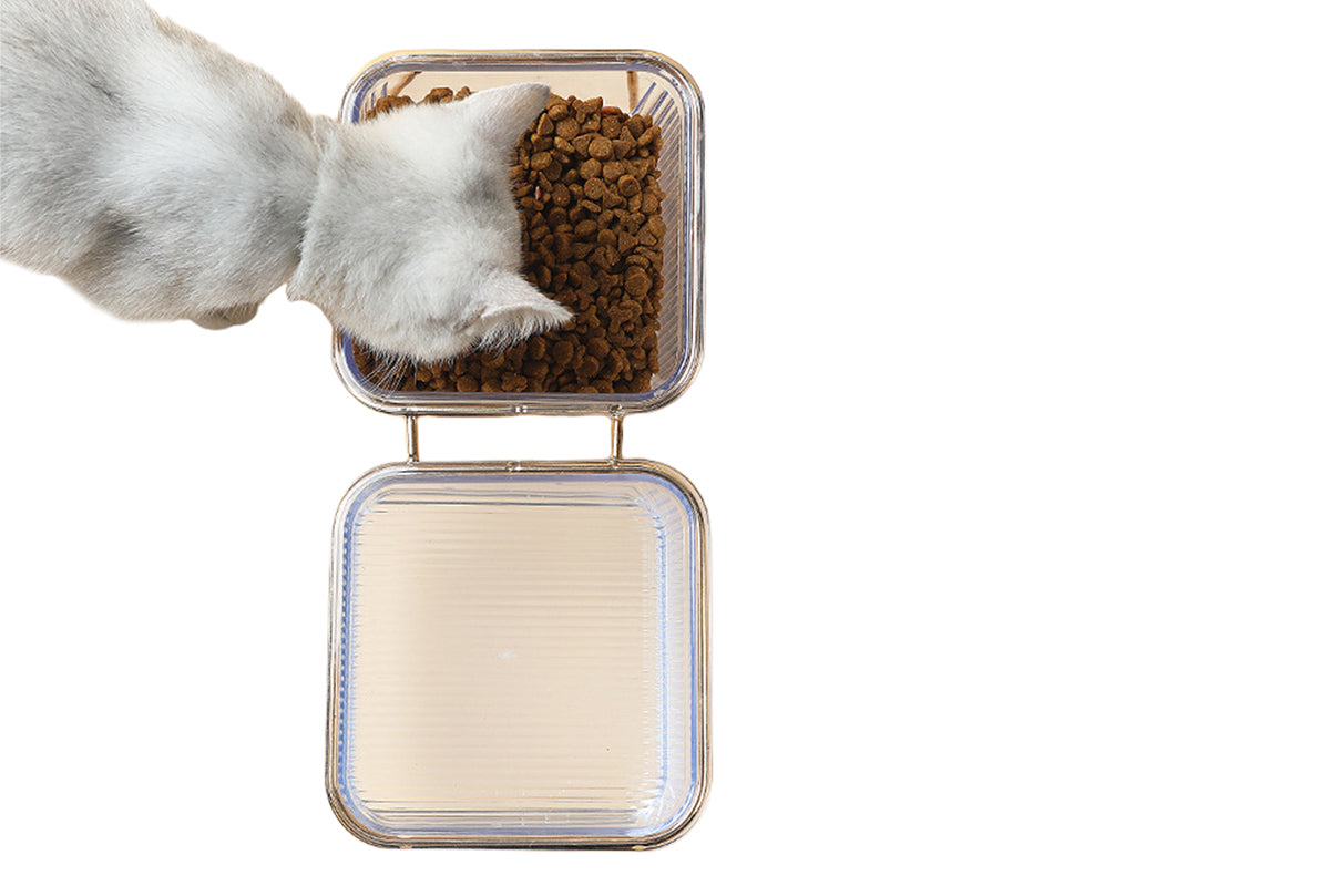 2Pcs Elevated Dog Bowls Raised Pet Feeder Cat Food Water Diner Stand Set-Double Bowls Style