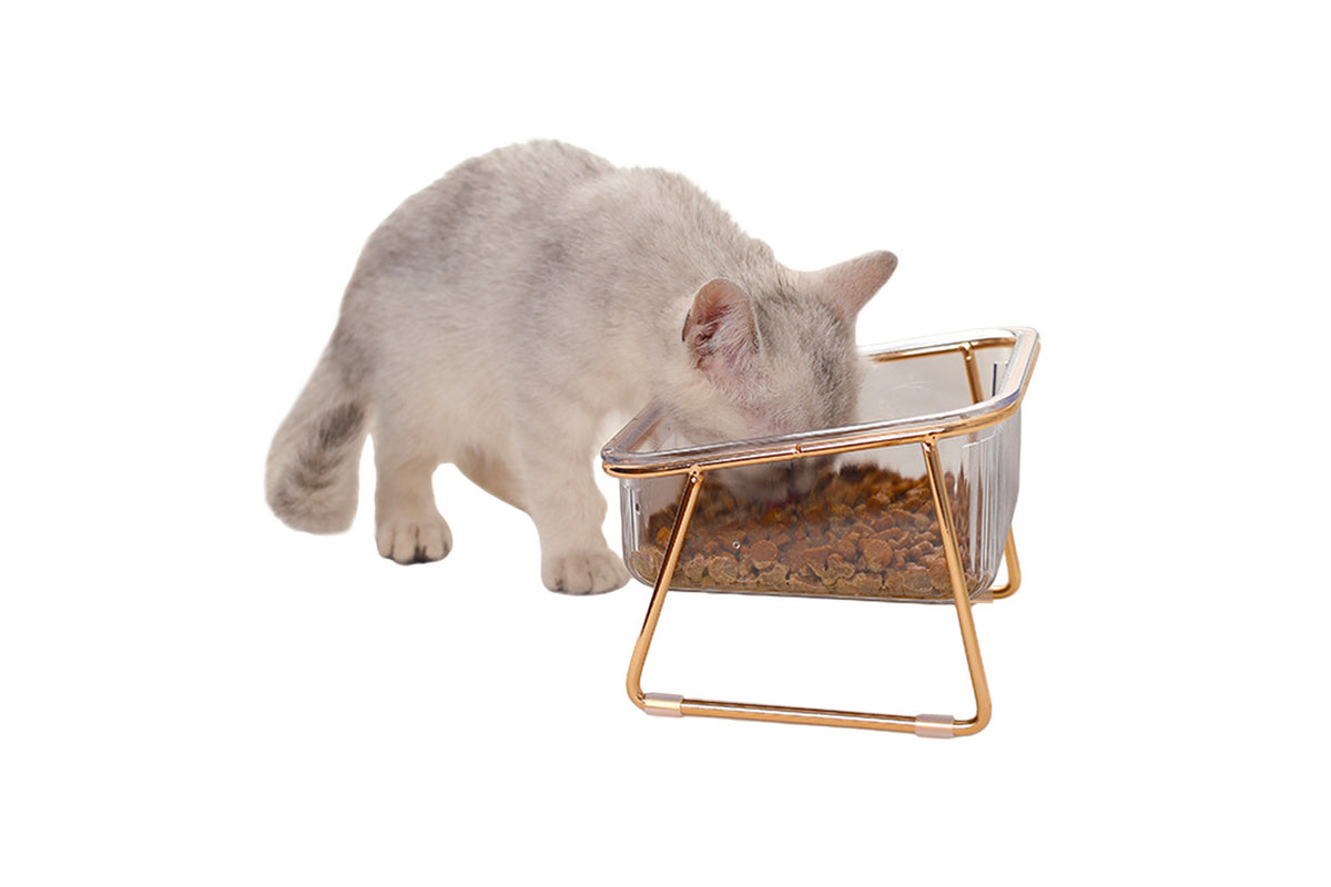 2Pcs Elevated Dog Bowls Raised Pet Feeder Cat Food Water Diner Stand Set-Single Bowl Style