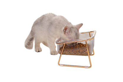 2Pcs Elevated Dog Bowls Raised Pet Feeder Cat Food Water Diner Stand Set-Single Bowl Style