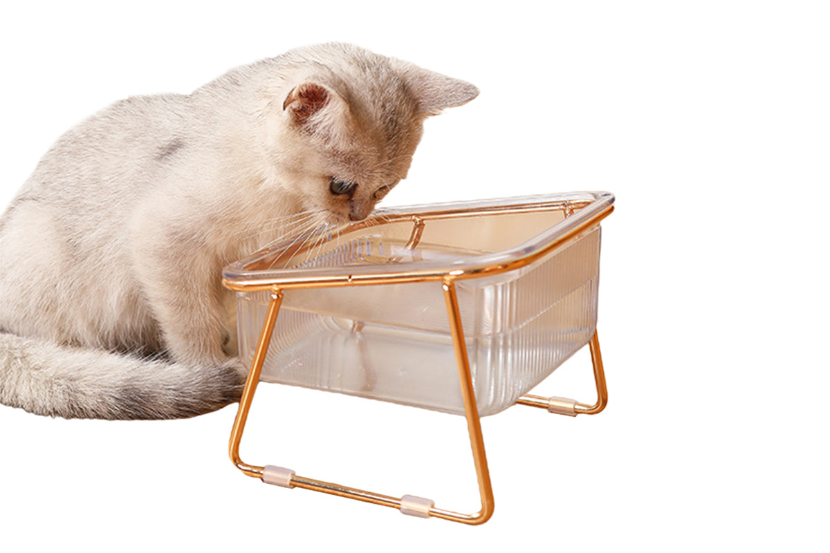 Elevated Dog Bowls Raised Pet Feeder Cat Food Water Diner Stand Set-Single Bowl Style