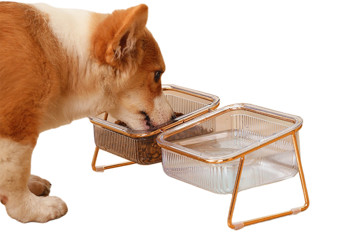 2Pcs Elevated Dog Bowls Raised Pet Feeder Cat Food Water Diner Stand Set-Double Bowls Style