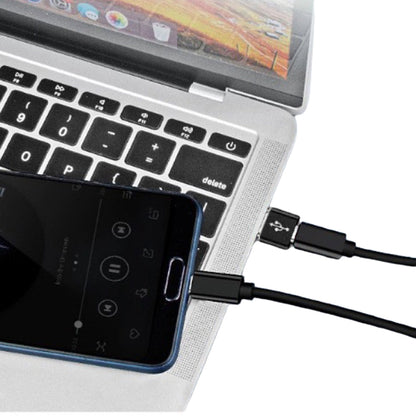 Set of 2Pack USB 3.0 to Type C 3.1 Adapter Phone Charging Converters