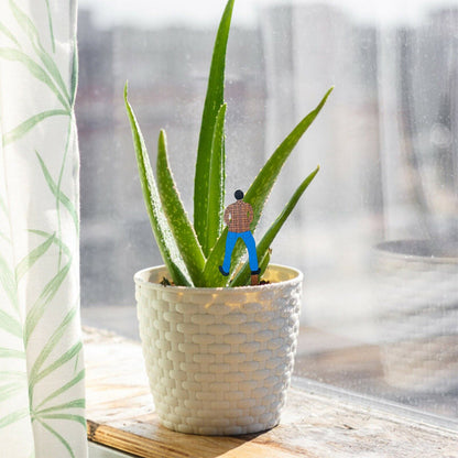 Set of 3Pcs Funny Garden Stakes Humor Plant Markers Decors