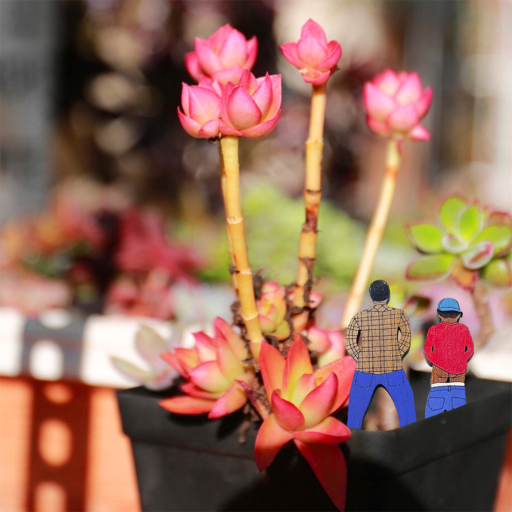 Set of 3Pcs Funny Garden Stakes Humor Plant Markers Decors
