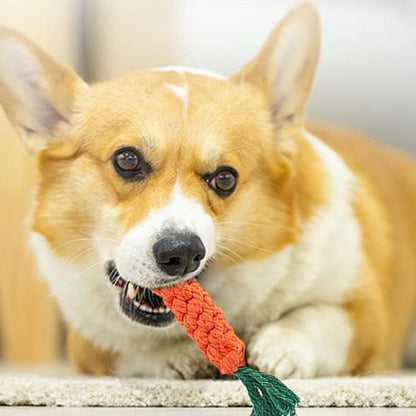 18Pcs Dog Chew Toys Set Pet Teething Toy Interactive Dog Toys