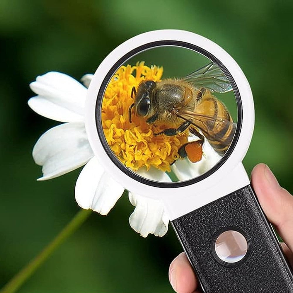 6X 25X Reading Magnifying Glass Handheld Standing Illuminated Magnifier