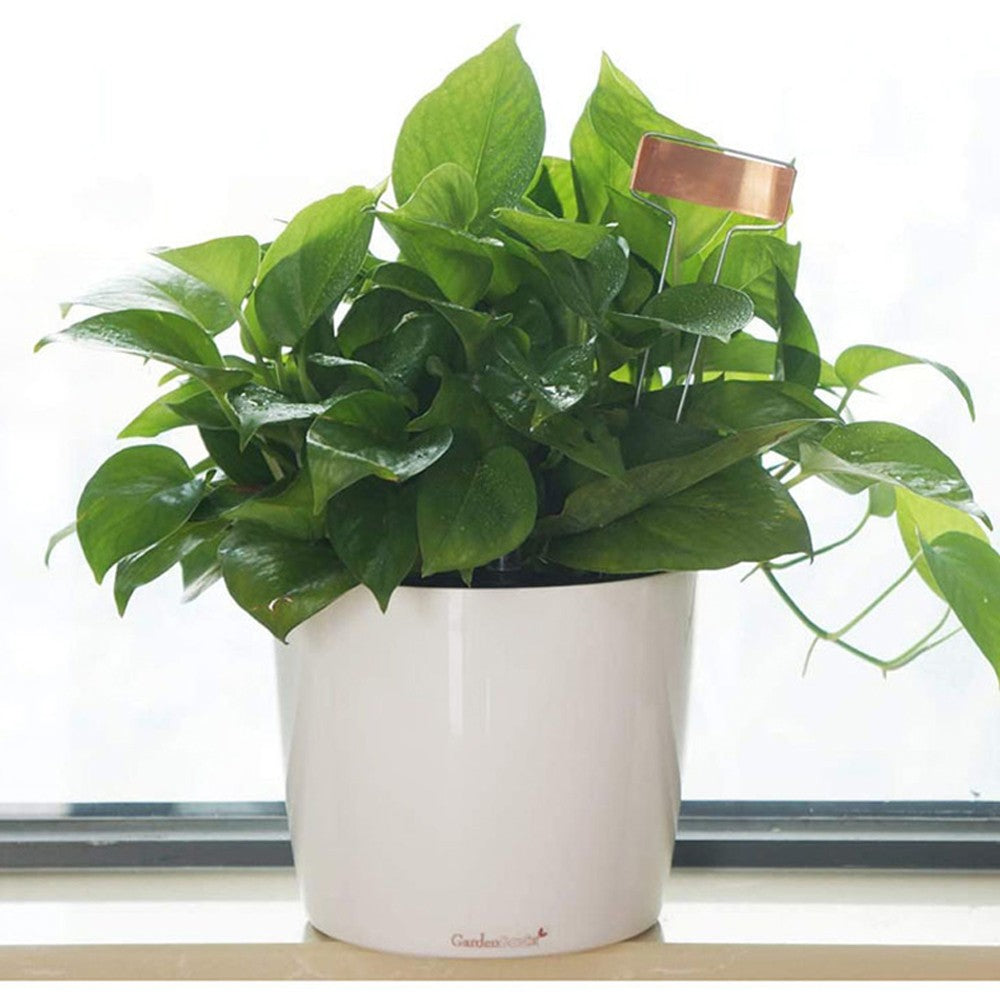 25-Piece Metal Plant Tags Copper Plant Labels Seedling Nursery Tags