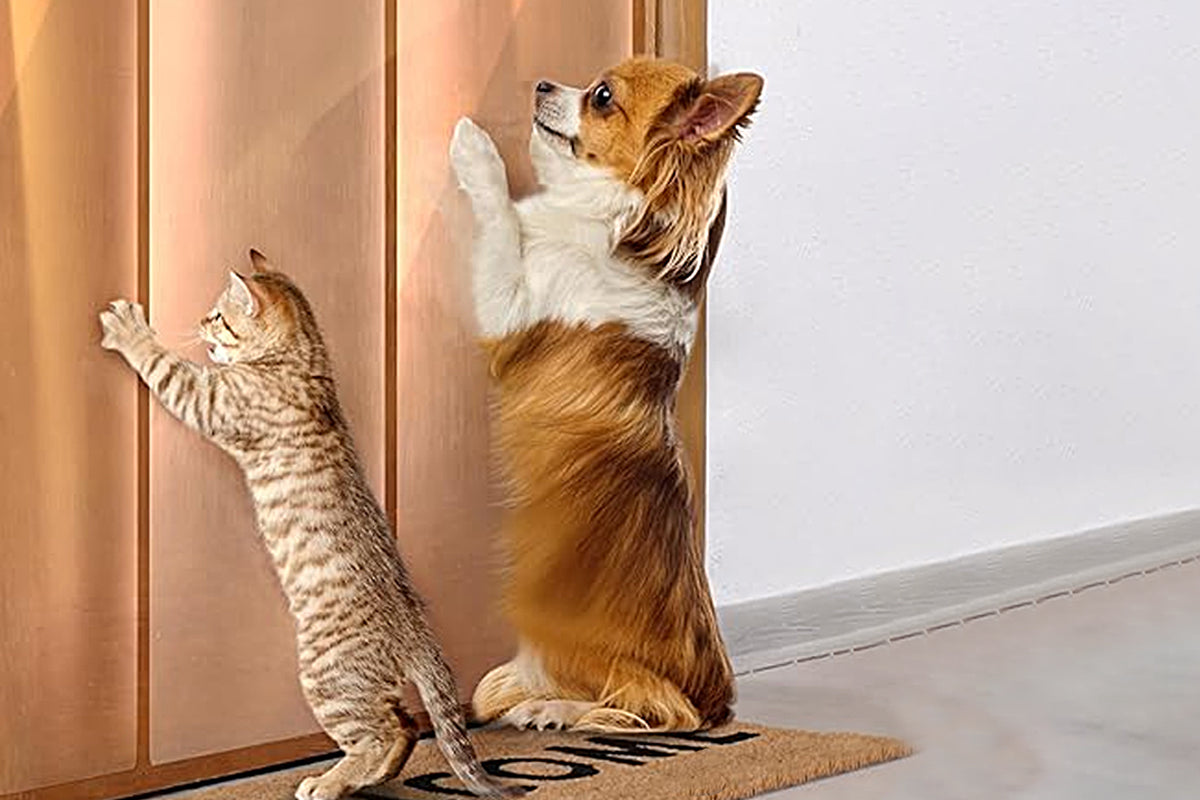 Anti Cat Scratch Couch Protector Single Sided Sticky Furniture Protector