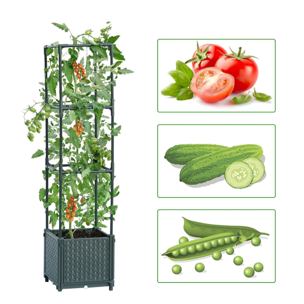 3-Tier Climbing Vine Frame Planting Box Garden Planter Support with Trellis for Vegetables Plants