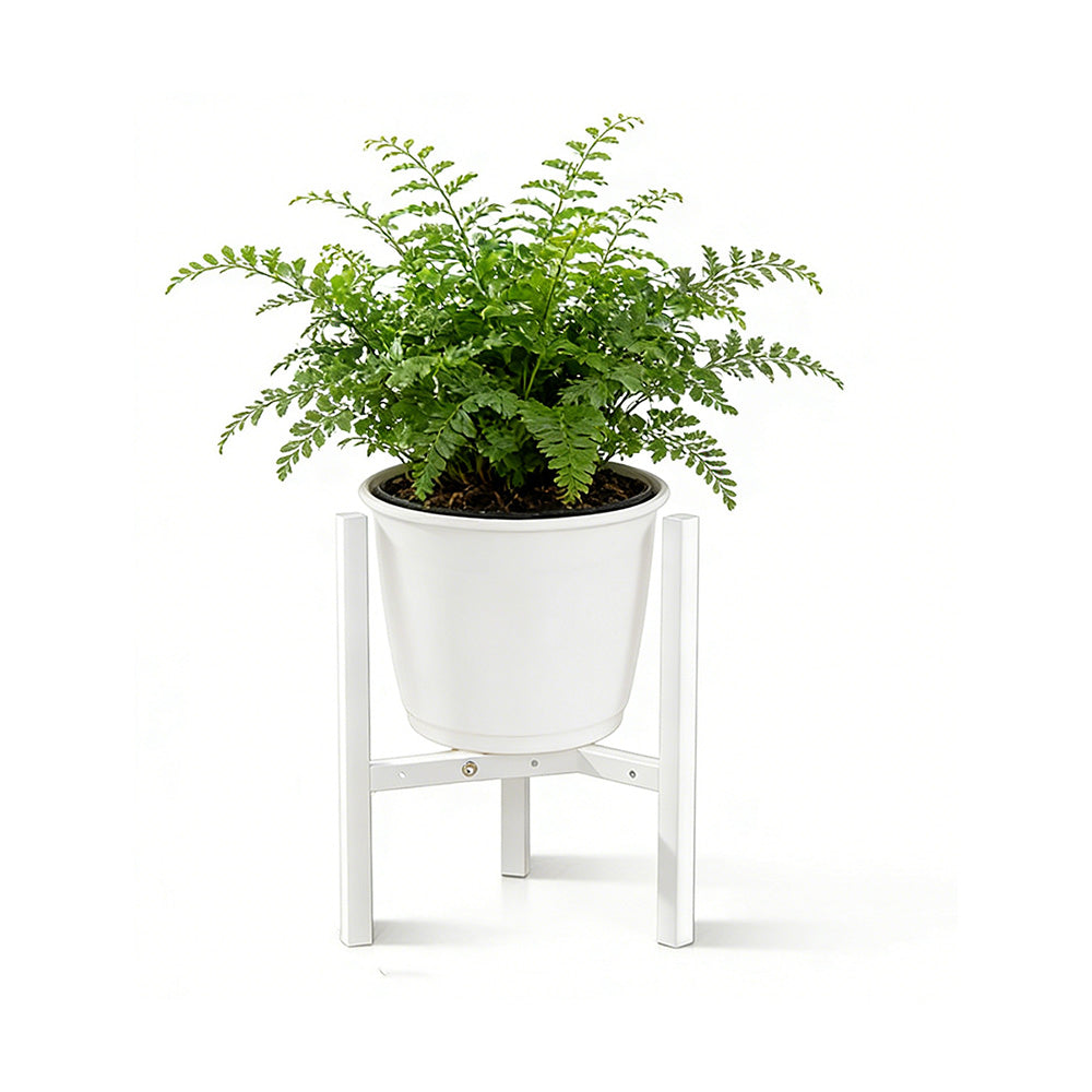 Plant Stand Indoor Adjustable Metal Heavy Duty Plant Stands Fits 23-32cm Pots-White