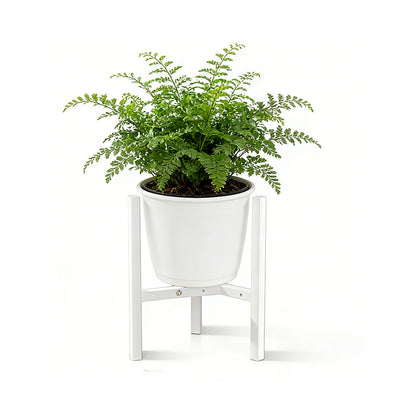 Plant Stand Indoor Adjustable Metal Heavy Duty Plant Stands Fits 23-32cm Pots-White