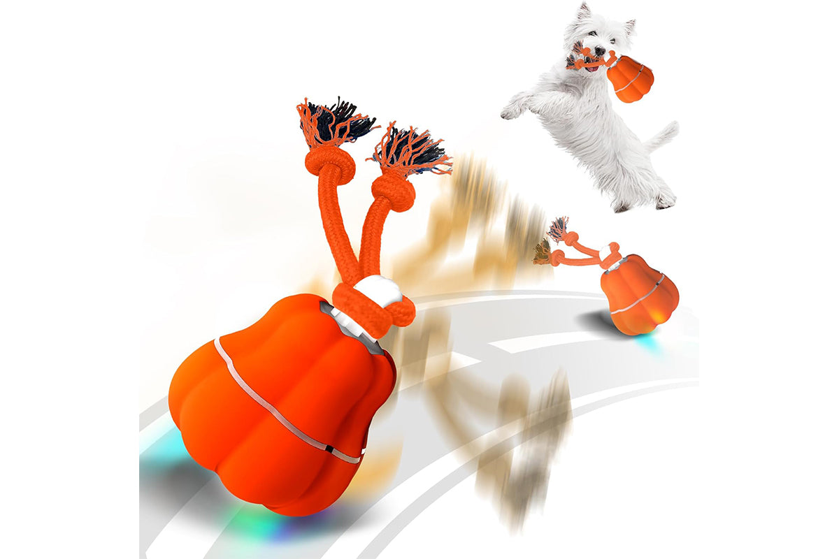 Interactive Dog Toy Ball Dog Rolling Ball with Motion Activated Moving Puppy Toy-Pumpkin