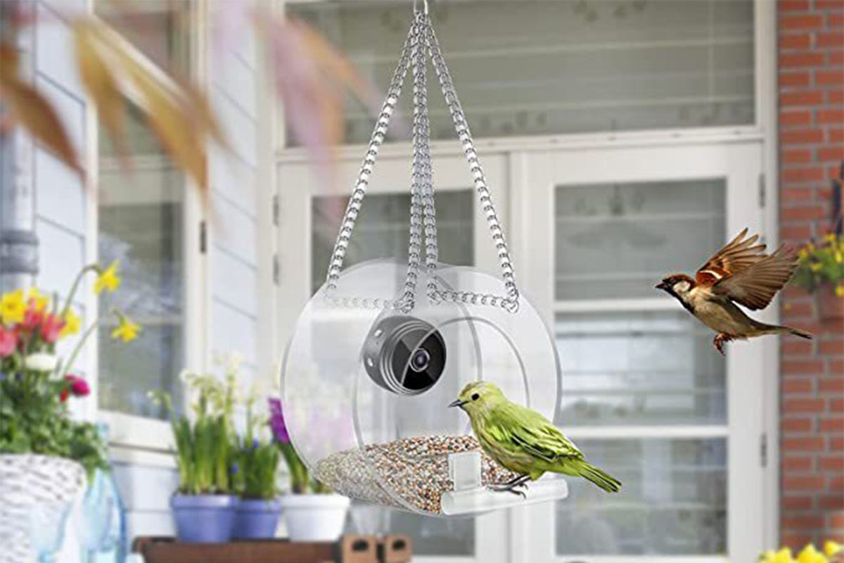 1080P WiFi Smart Bird Feeder with Camera for Closeup Shots