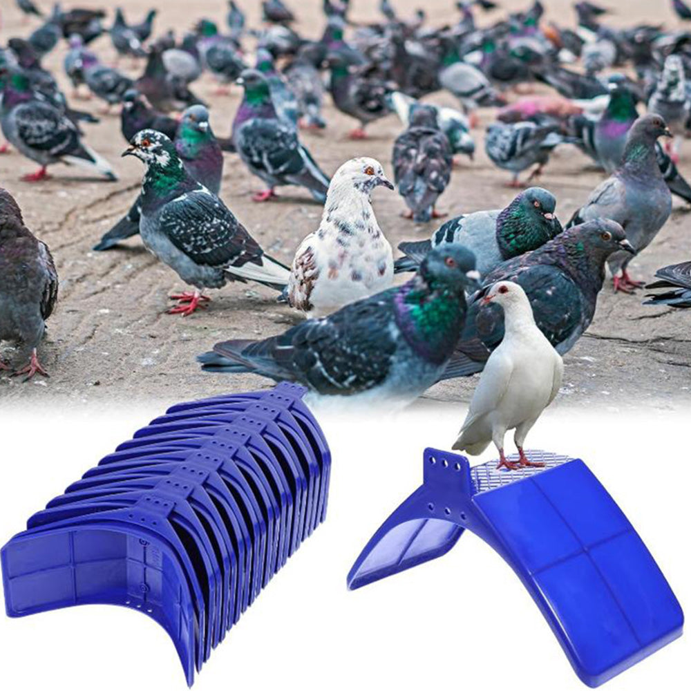 30 Pack Pigeon Dove Rest Stand Frame Dwelling Perches Roost Bird Supplies Set