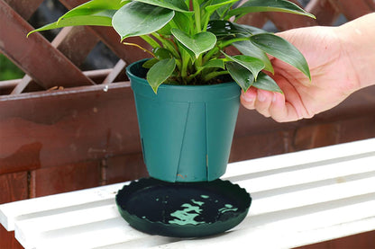 12Pcs Round Plastic Plant Saucers Durable Flower Pot Tray for Indoor Outdoor