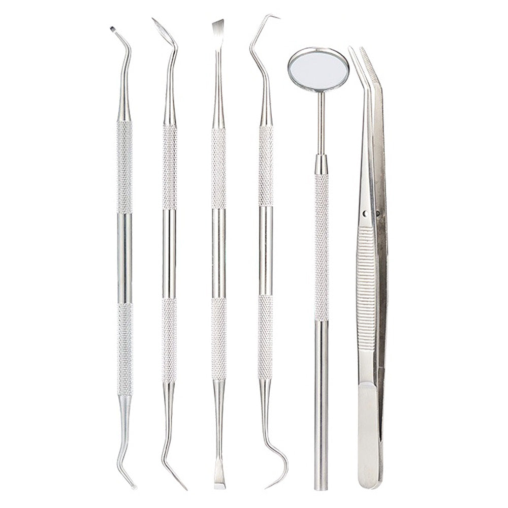 Professional Dental Tool Kit 6 Piece Stainless Steel Oral Care Set Pink