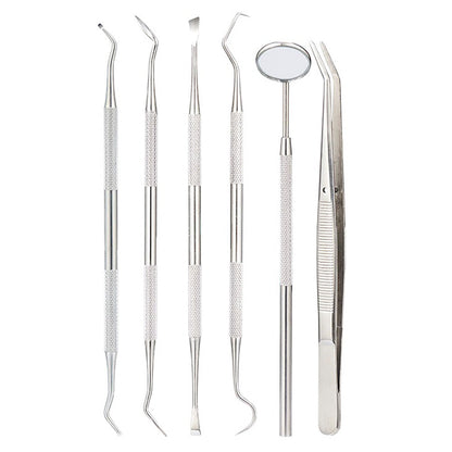 Professional Dental Tool Kit 6 Piece Stainless Steel Oral Care Set Pink