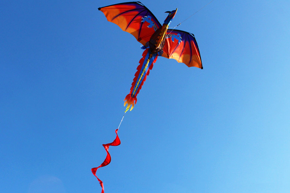 2Pcs 1.4m 3D Dragon Kite with 100m Flying Line for boy and girls and Adults