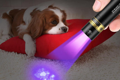 365nm UV Blacklight Flashlight Pet Urine Detector for Resin Rock Scorpion