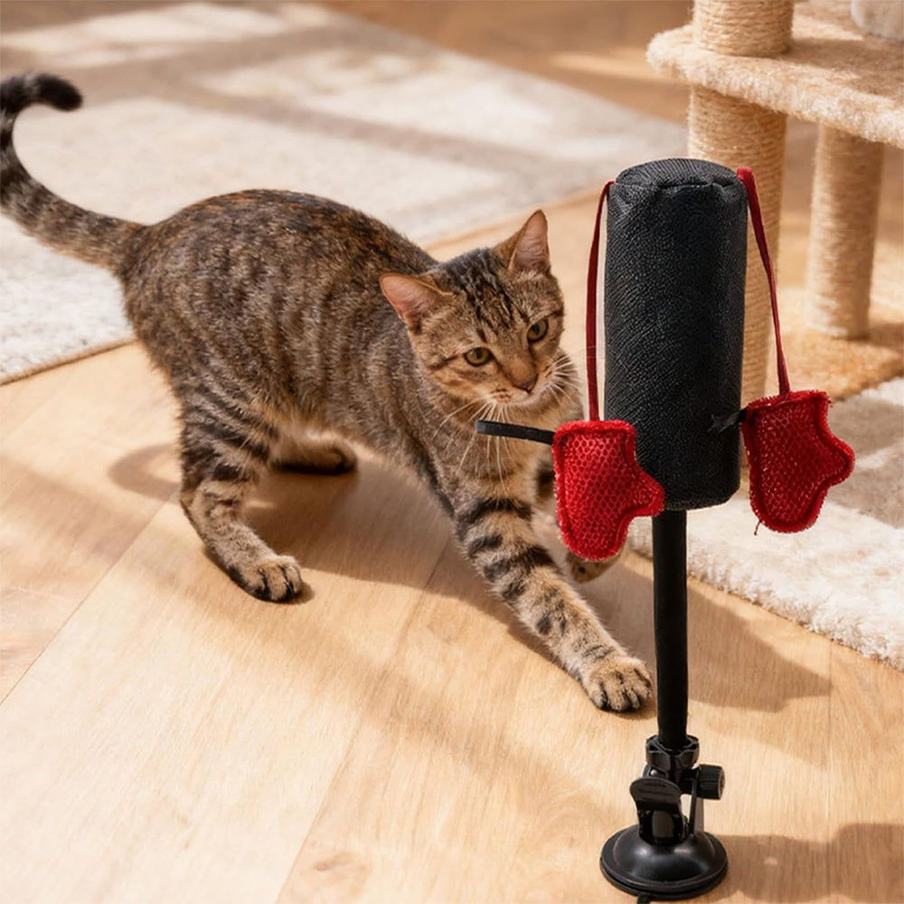 Cat Punching Bag Toy with Suction Cup