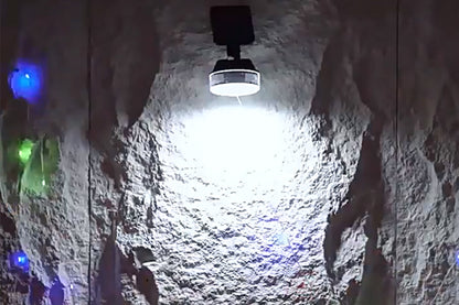 Motion Sensing Solar Wall Light with String Light