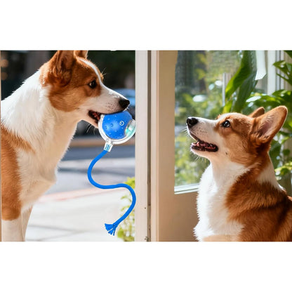 Interactive Cat Toys Balls with Birdsong 360-degree Smart Automatic Rolling Ball-Blue