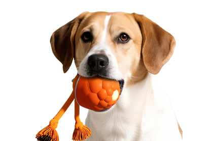 Interactive Dog Toys Touch Activated Bouncing And Jumping Dog Ball-Orange