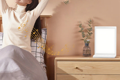 10000 Lux Therapy Light Happy Light for Boosting Mood Sleep and Focus