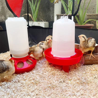 1L Chick Food Feeder and 1.5L Chicken Water Feeder Kit for Chick Aviaries