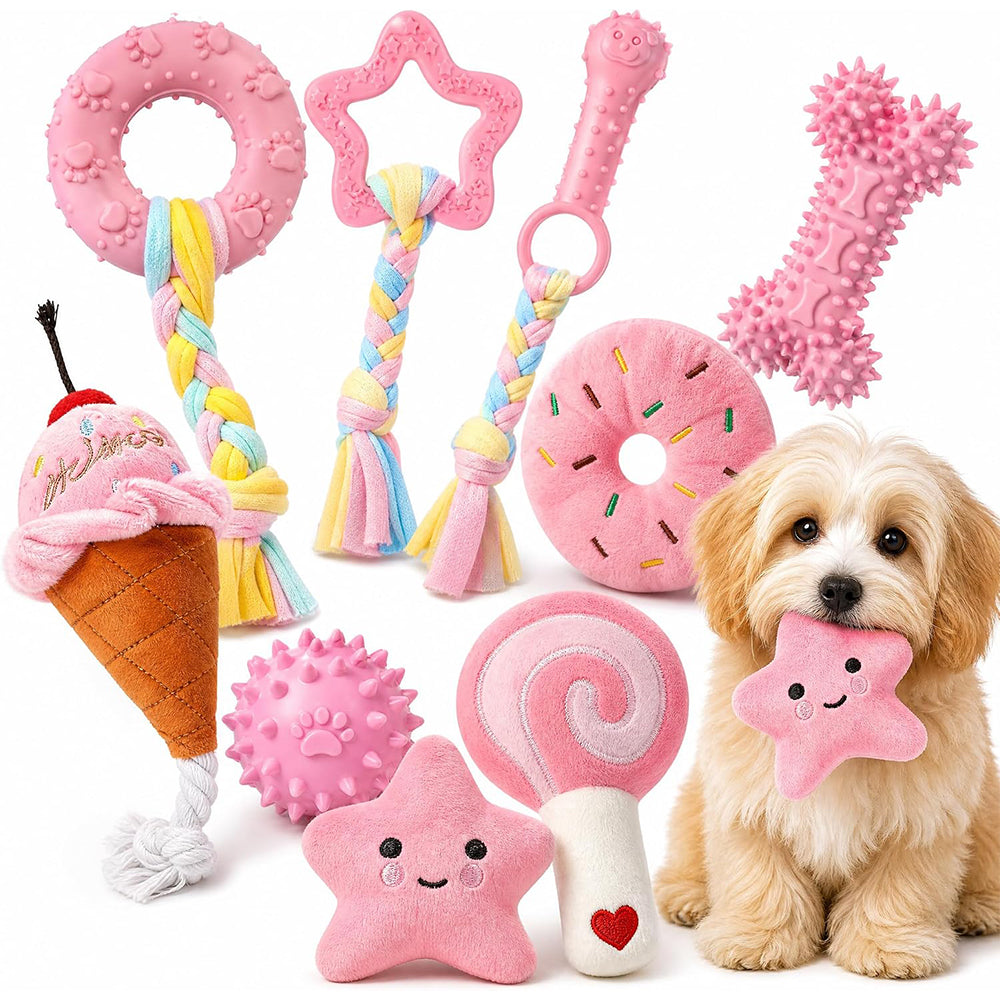 4Pcs Retractable Phone Tether with Carabiner-Pink