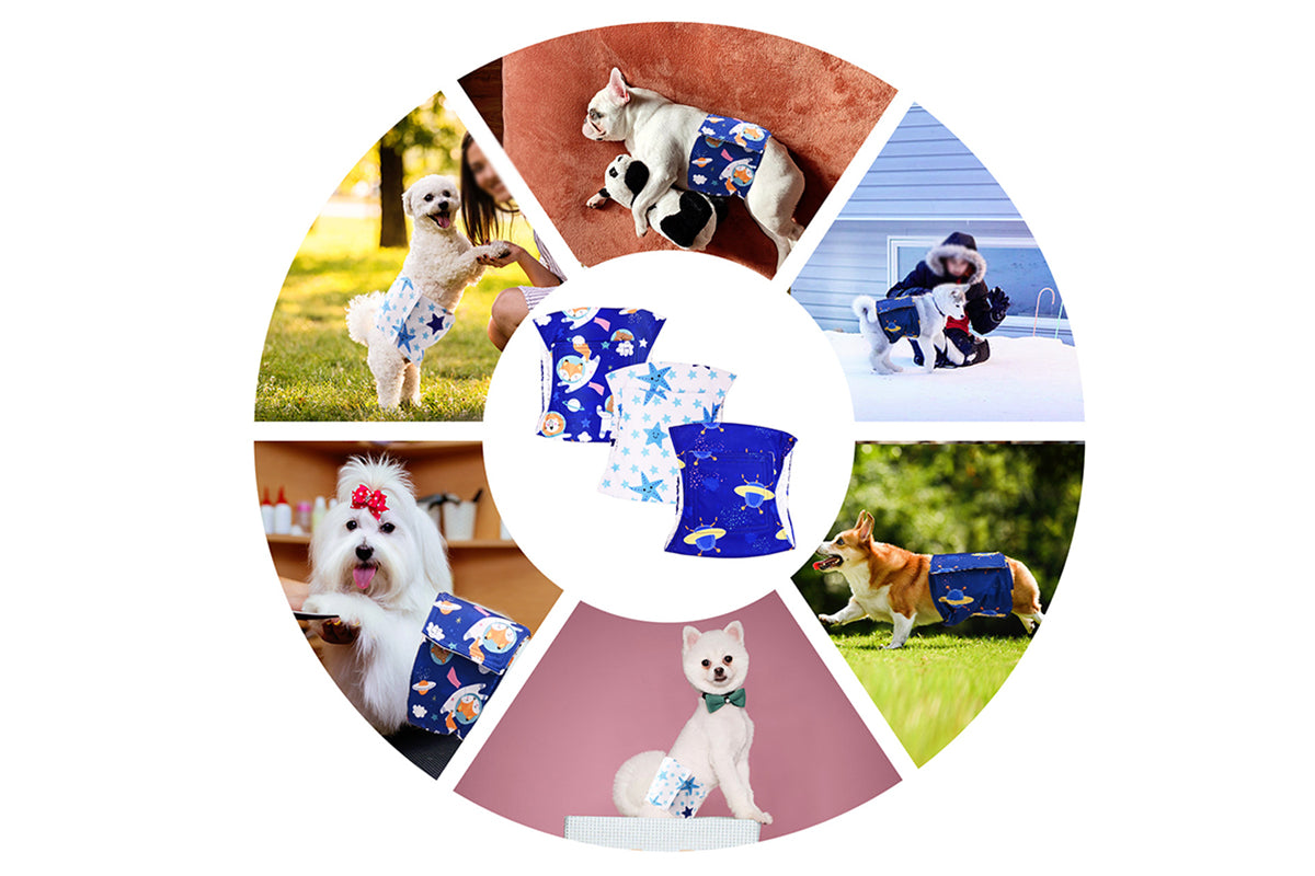 3Pcs Washable Male Dog Diapers with Adjustable Belly Bands