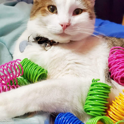 40Pcs Cat Spring Toys Colorful Cat Spiral Bouncy Toys Interactive Toys for Cats and Kittens