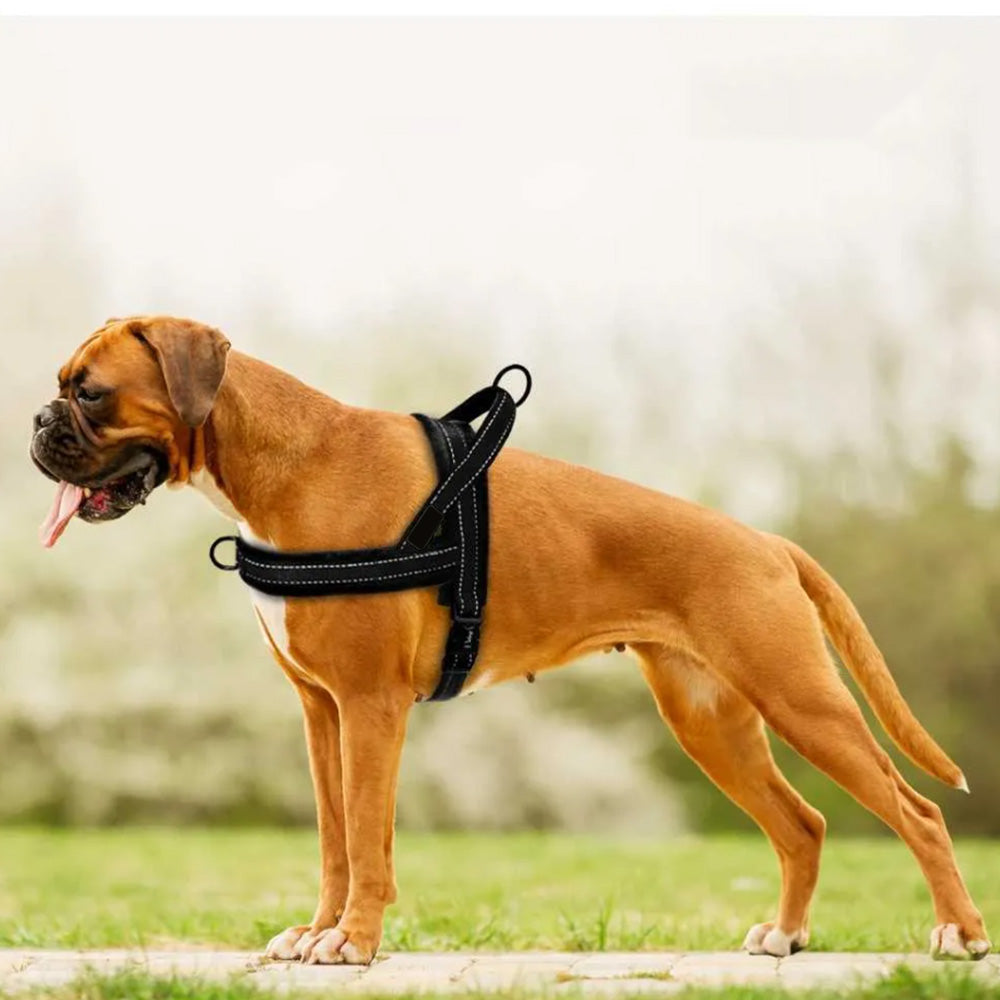 Breathable Mesh Padded Dog Harness No-Pull Vest-Black