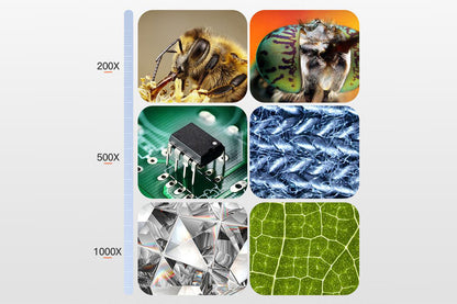 Digital Microscope 1000x Coin Magnifier Compatible with Windows Mac-Black