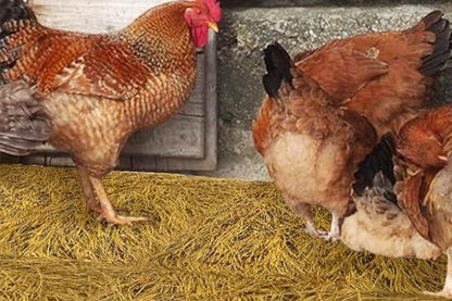 6Pcs Chicken Nesting Pads Artificial Grass Rug Carpet Washable Chicken Coop Bedding