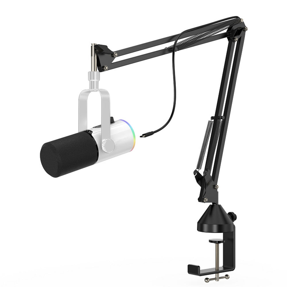 RGB Dynamic Gaming Microphone XLR/USB Interface for PC Streaming Podcast Recording Style 1