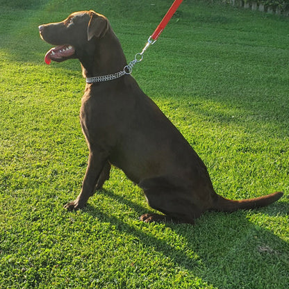 Dog Training Slip Collar Double-Row Chain for Large Dogs