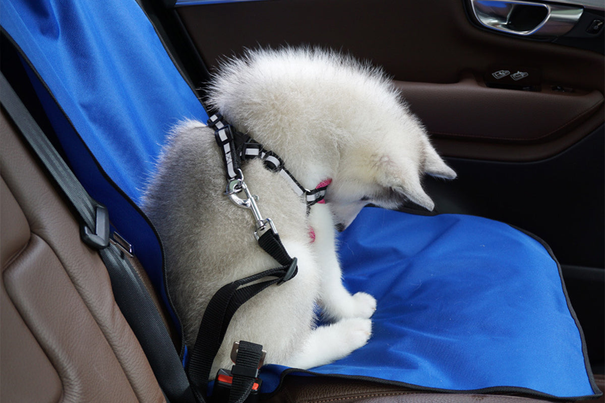 2Pcs Nonslip Waterproof Durable Car Universal Fit Interior Backseat Dog Seat Covers-Blue
