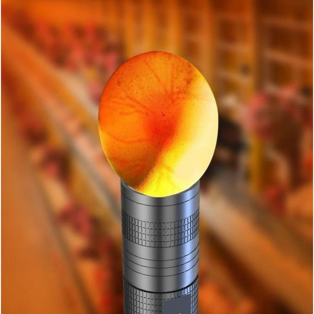 3 in 1 Egg Candler Light for Chicken Ostrich Eggs