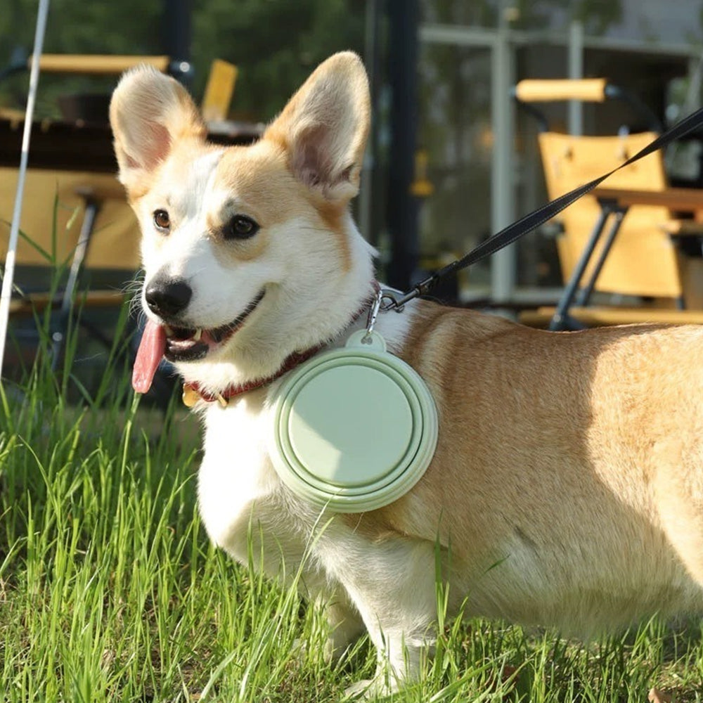 2 Pack Foldable Collapsible Dog Cat Pet Bowl