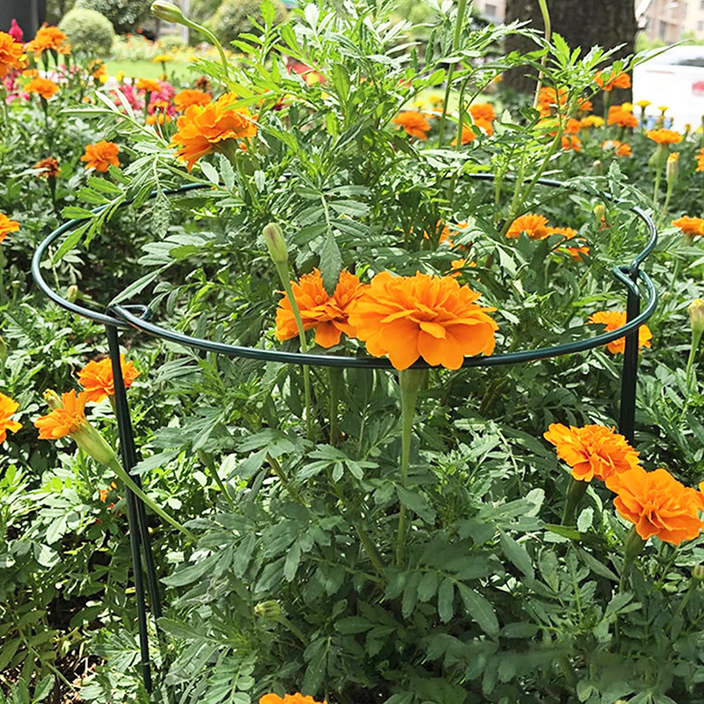 Plant Supports Stakes Set Half Round Metal Garden Stakes for Outdoor Indoor Plants