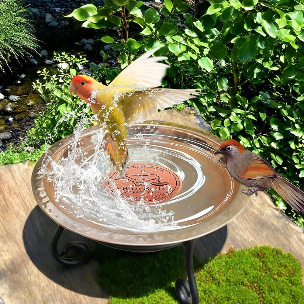 Copper Bird Bath Cleaning Disc -Round Shape