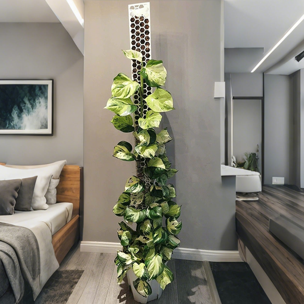 Moss Pole Plant Extension Support Tall Plant Sticks Support for Climbing Plants