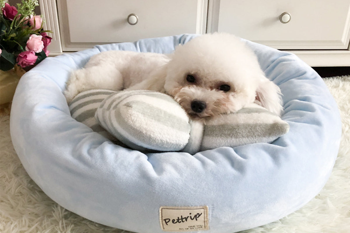 Small Calming Dog Bed for Dogs Puppy Round Washable Pet Donut Bed For Cat-Blue