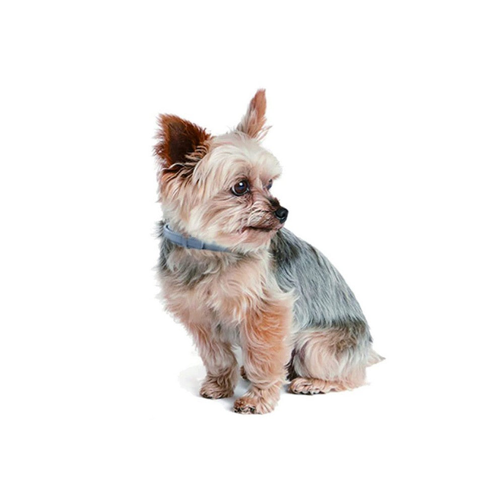 4Pcs 63cm Adjustable Flea Collar for Dogs Flea and Tick Prevention Pets Collar