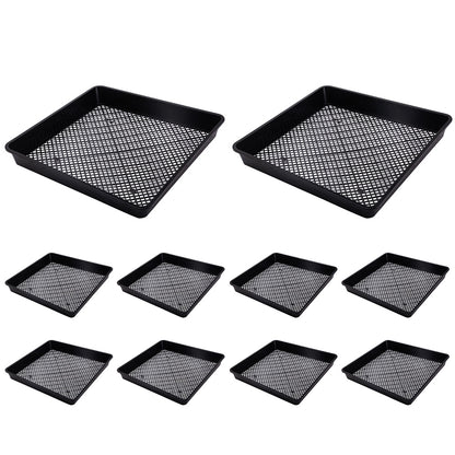 10 Piece 40cm Square Fine Hole Seedling Trays for Propagation